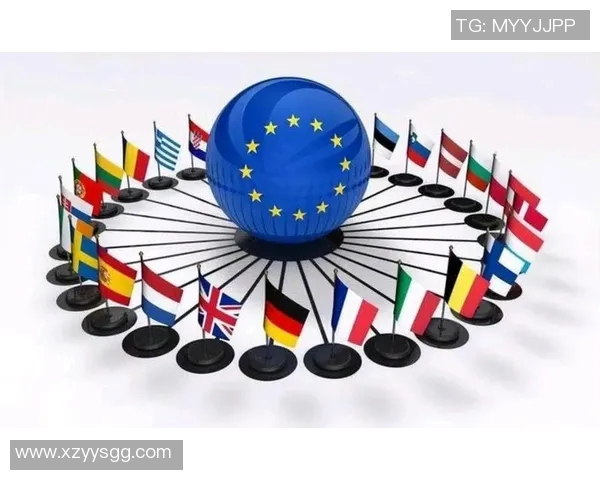 以全球经济合作为纽带推动区域一体化发展的新型联盟模式探索与实践